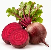 Beet Root ingredient illustration